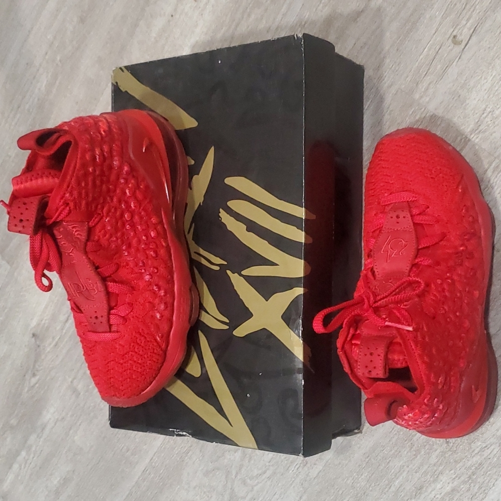 LEBRON XVII
